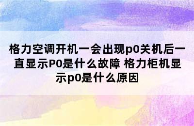 格力空调开机一会出现p0关机后一直显示P0是什么故障 格力柜机显示p0是什么原因